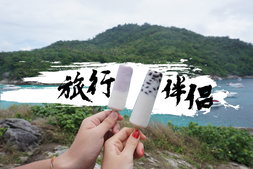 旅行伴侣
