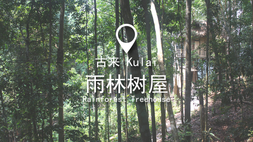 柔佛民宿推荐 | 去古来住树上吧!雨林树屋Rainforest Tree House咖啡馆民宿体验 - Fishagrams | 旅人小鱼 Fishagrams | 旅人小鱼
