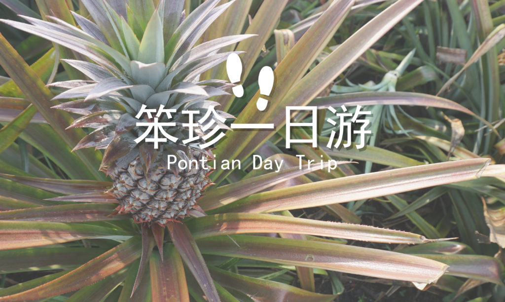 笨珍好去处|Pontian 6个景点推荐:黄梨农村、动物园 - Fishagrams | 旅人小鱼 Fishagrams | 旅人小鱼