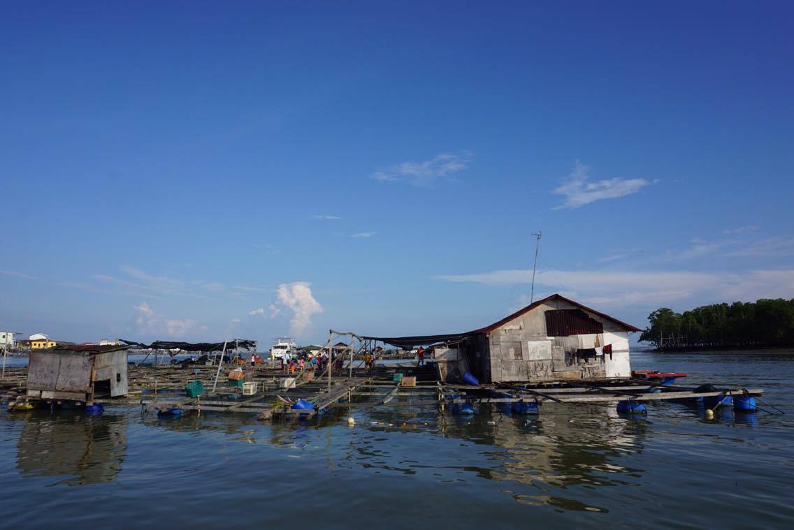 笨珍景点｜ 深度游必备，8大生态景点攻略（适合自驾和亲子游） - Fishagrams | 旅人小鱼