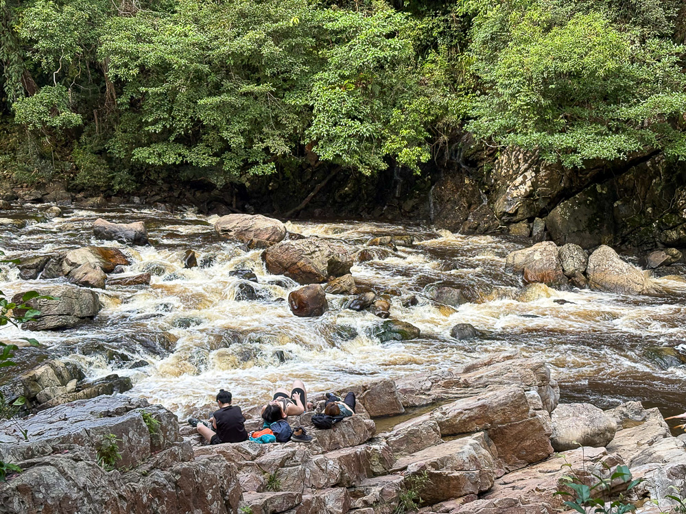 来感受大马的热带雨林!大汉山国家公园3天2夜攻略 - Fishagrams | 旅人小鱼 Fishagrams | 旅人小鱼