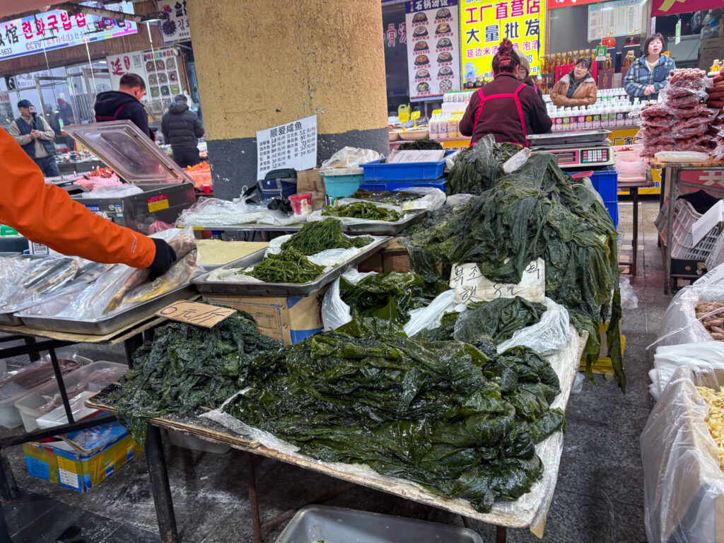 环球日记 Fishagrams - 旅行部落格