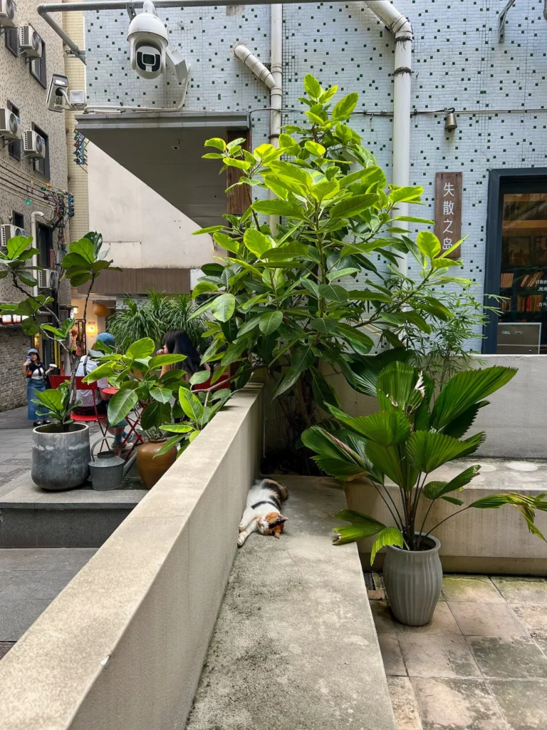 Fishagrams | 旅人小鱼