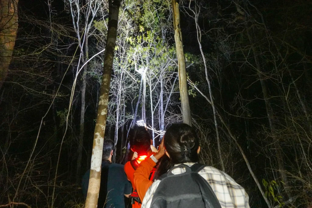 马达加斯加 Kirindy Reserve|从 Bekopaka 穿越125km荒野,夜探森林寻找狐猴 - Fishagrams | 旅人小鱼 Fishagrams | 旅人小鱼
