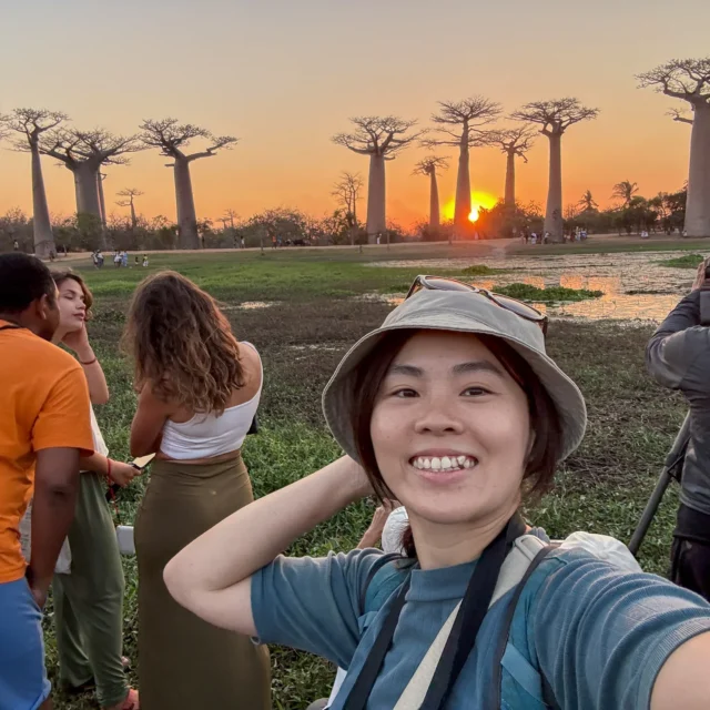 马达加斯加猴面包树|猴面包树大道、千年神树与猴面包果 - Fishagrams | 旅人小鱼 马达加斯加 Avenue of the Baobabs 日落旅行自拍