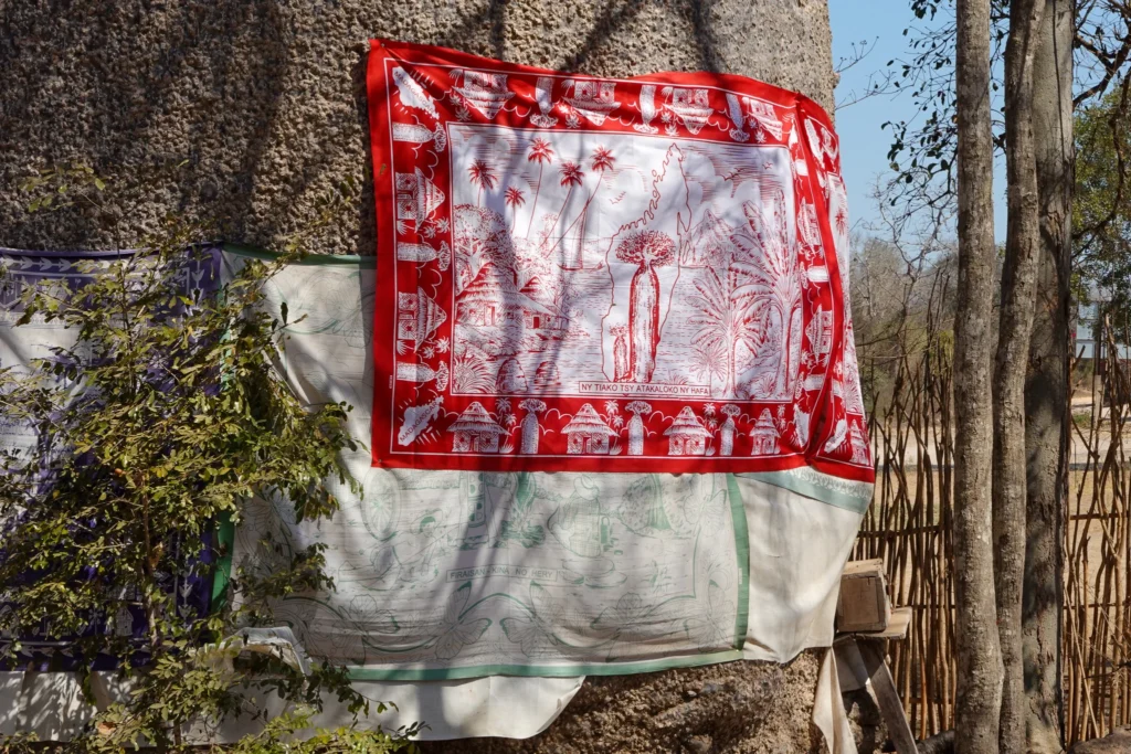 马达加斯加猴面包树|猴面包树大道、千年神树与猴面包果 - Fishagrams | 旅人小鱼 Fishagrams | 旅人小鱼