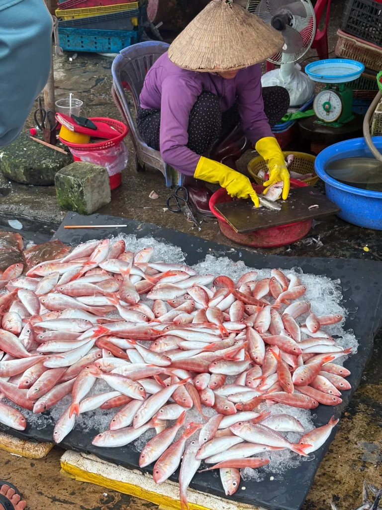 富国岛攻略:中部这么玩?Duong Dong 阳东镇小镇在地指南 - Fishagrams | 旅人小鱼 Fishagrams | 旅人小鱼